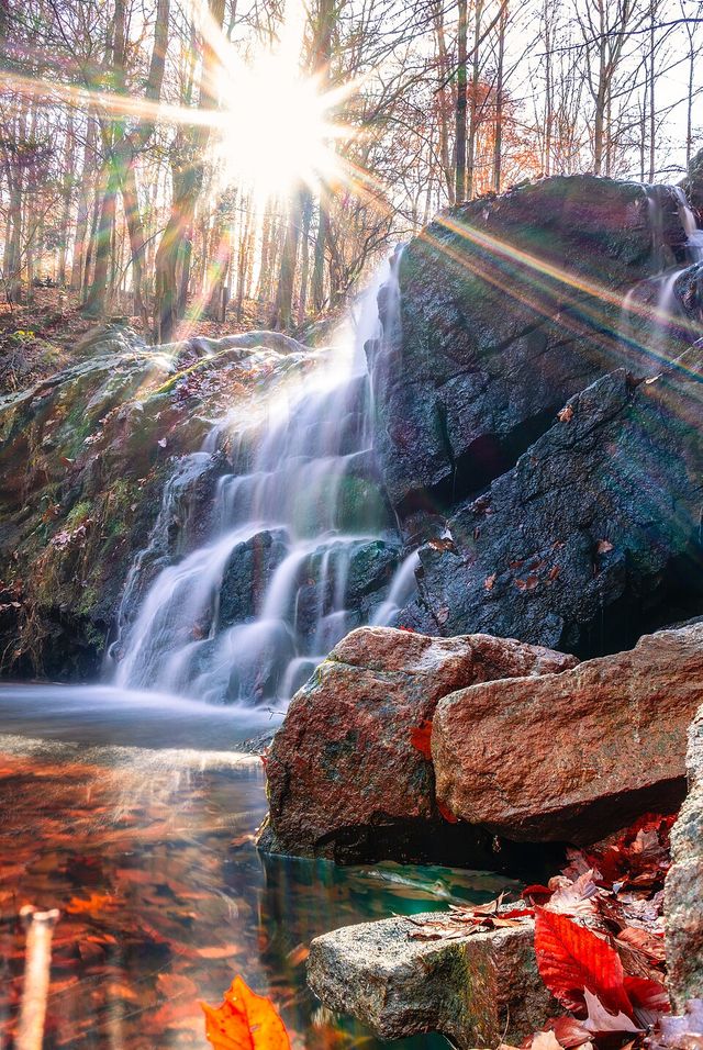 Sunlit creek and falls